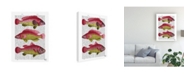 Trademark Global Fab Funky Red and Yellow Fantasy Fish Trio Canvas Art - 19.5" x 26"